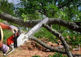 Best Lot and Land Clearing  in Wolfforth, TX